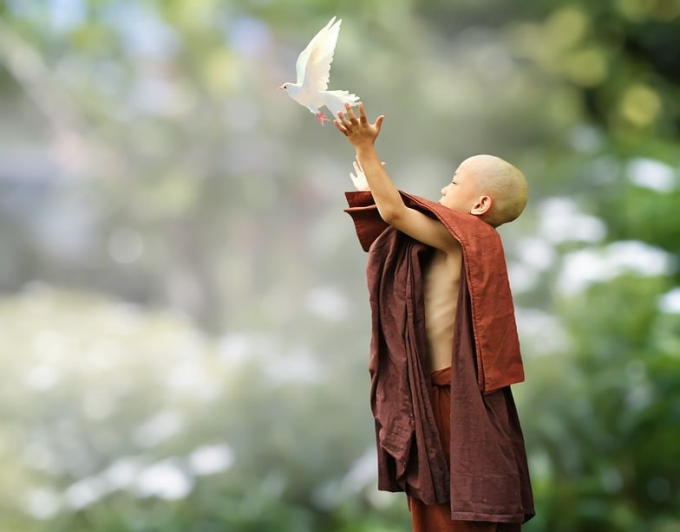 Quả báo của nghiệp giết hại